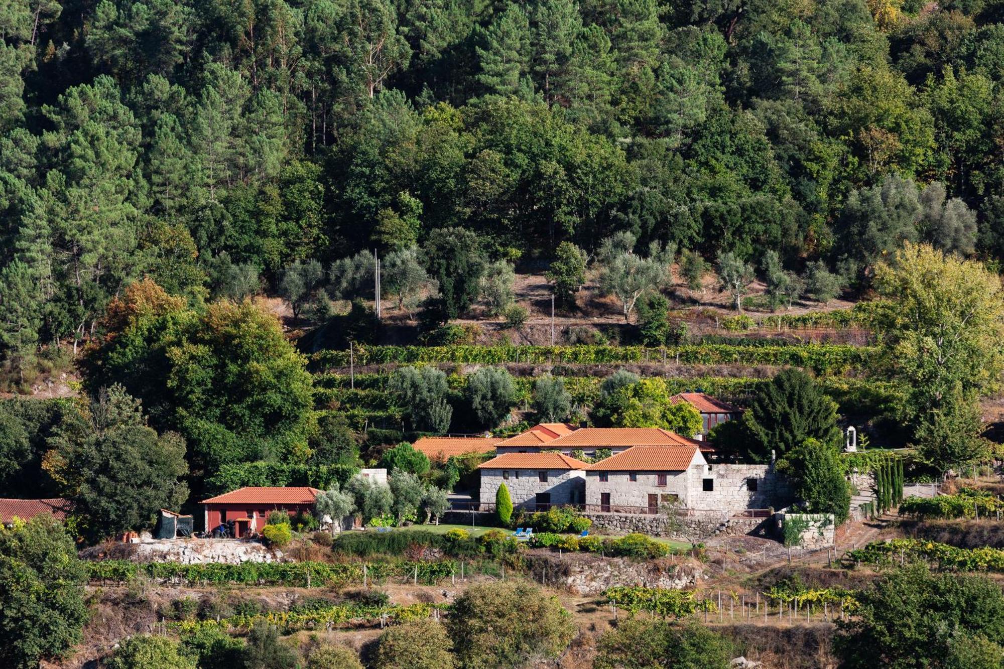 منزل الضيف أمارانتي  في Quinta Da Pousadela - Agroturismo المظهر الخارجي الصورة