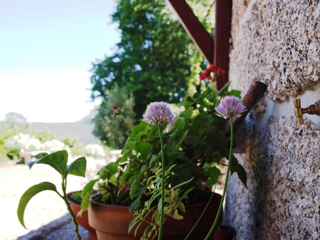أمارانتي Quinta Da Pousadela - Agroturismo المظهر الخارجي الصورة