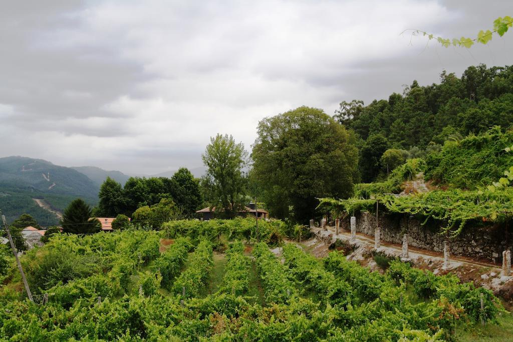 أمارانتي Quinta Da Pousadela - Agroturismo المظهر الخارجي الصورة
